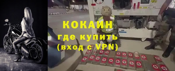 прущие грибы Приозерск