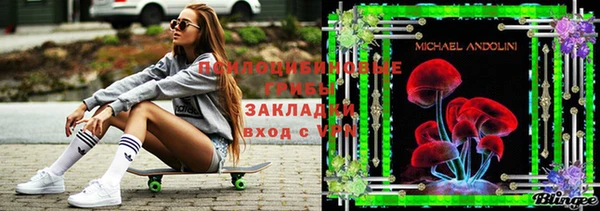 молекула духа Володарск